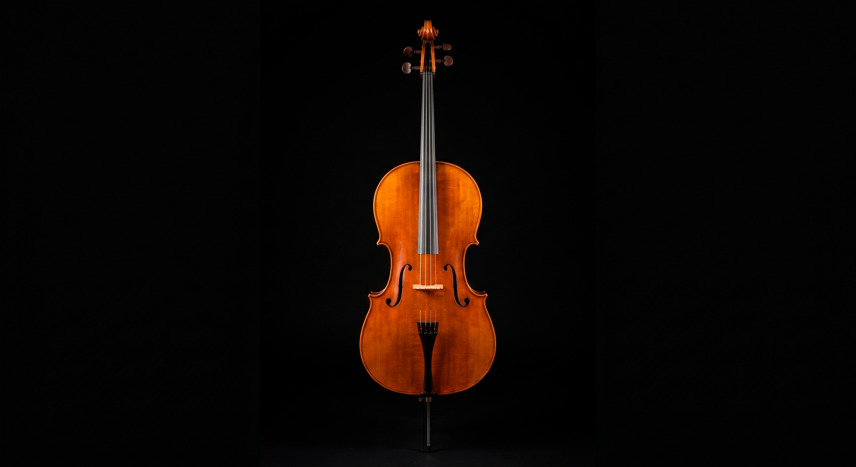 Violon